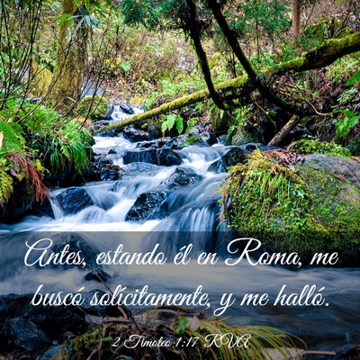 Picture 03 - 2 Timoteo 1:17 RVA - Antes, estando él en Roma, me buscó - Bible Verse Picture