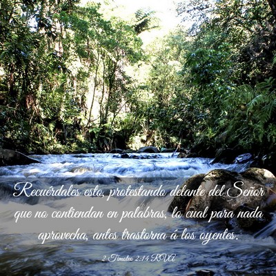 Picture 03 - 2 Timoteo 2:14 RVA - Recuérdales esto, protestando delante del Señor - Bible Verse Picture
