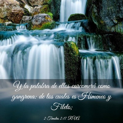 Picture 03 - 2 Timoteo 2:17 RVA - Y la palabra de ellos carcomerá como gangrena: - Bible Verse Picture