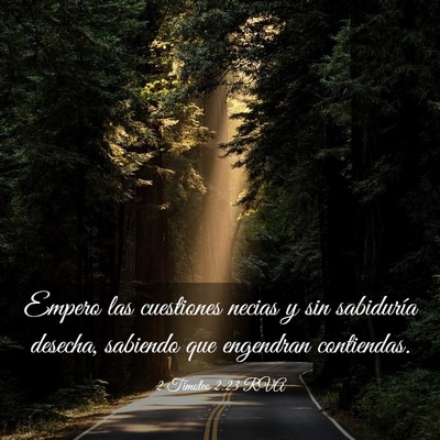Picture 03 - 2 Timoteo 2:23 RVA - Empero las cuestiones necias y sin sabiduría - Bible Verse Picture