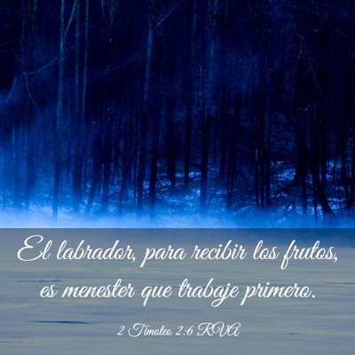 Picture 03 - 2 Timoteo 2:6 RVA - El labrador, para recibir los frutos, es menester - Bible Verse Picture