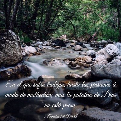 Picture 03 - 2 Timoteo 2:9 RVA - En el que sufro trabajo, hasta las prisiones á - Bible Verse Picture