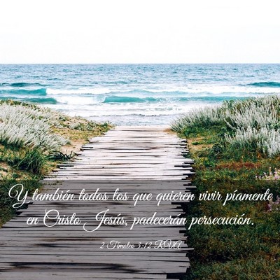 Picture 03 - 2 Timoteo 3:12 RVA - Y también todos los que quieren vivir píamente - Bible Verse Picture