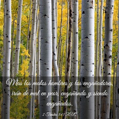 Picture 03 - 2 Timoteo 3:13 RVA - Mas los malos hombres y los engañadores, irán - Bible Verse Picture