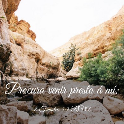 Picture 03 - 2 Timoteo 4:9 RVA - Procura venir presto á - Bible Verse Picture