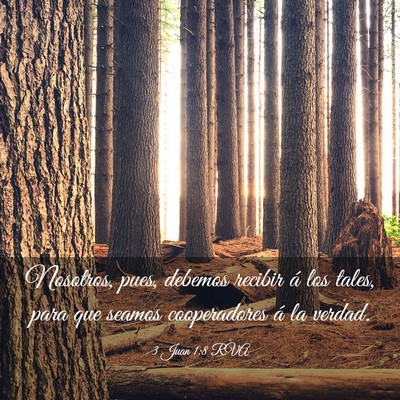 Picture 03 - 3 Juan 1:8 RVA - Nosotros, pues, debemos recibir á los tales, - Bible Verse Picture