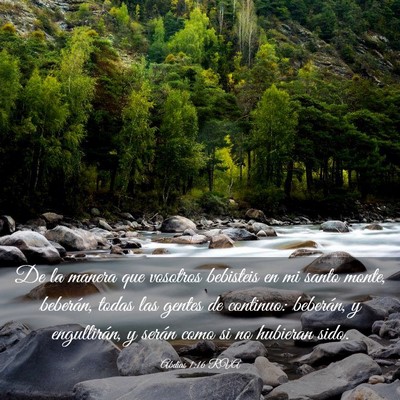 Picture 03 - Abdías 1:16 RVA - De la manera que vosotros bebisteis en mi santo - Bible Verse Picture