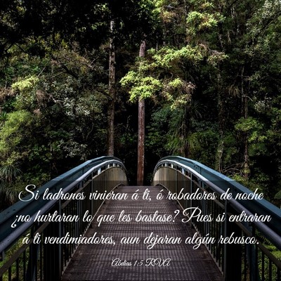 Picture 03 - Abdías 1:5 RVA - Si ladrones vinieran á ti, ó robadores de noche - Bible Verse Picture