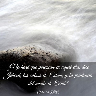 Picture 03 - Abdías 1:8 RVA - ¿No haré que perezcan en aquel día, dice - Bible Verse Picture
