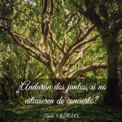 Picture 03 - Amós 3:3 RVA - ¿Andarán dos juntos, si no estuvieren de - Bible Verse Picture
