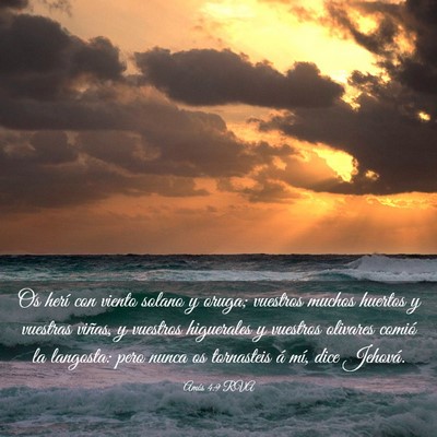 Picture 03 - Amós 4:9 RVA - Os herí con viento solano y oruga; vuestros - Bible Verse Picture