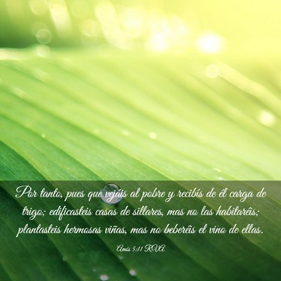 Picture 03 - Amós 5:11 RVA - Por tanto, pues que vejáis al pobre y recibís - Bible Verse Picture