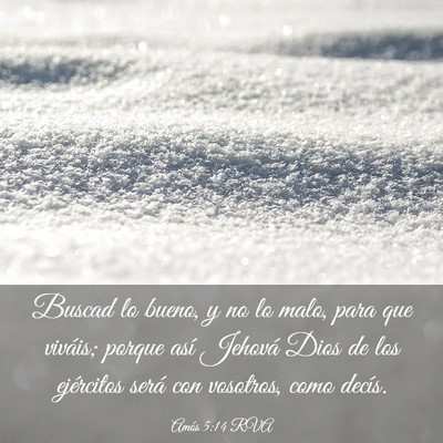 Picture 03 - Amós 5:14 RVA - Buscad lo bueno, y no lo malo, para que viváis; - Bible Verse Picture