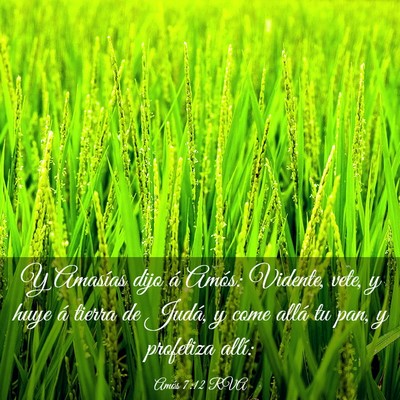 Picture 03 - Amós 7:12 RVA - Y Amasías dijo á Amós: Vidente, vete, y huye - Bible Verse Picture