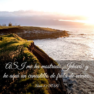 Picture 03 - Amós 8:1 RVA - ASI me ha mostrado Jehová: y he aquí un - Bible Verse Picture