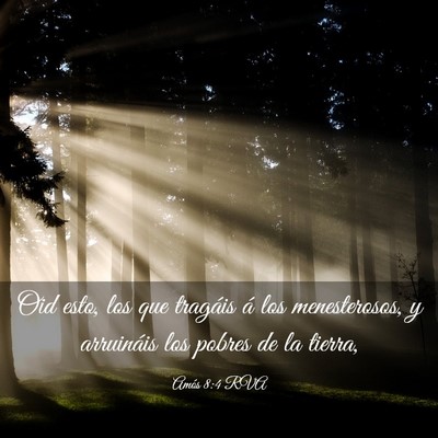 Picture 03 - Amós 8:4 RVA - Oid esto, los que tragáis á los menesterosos, y - Bible Verse Picture