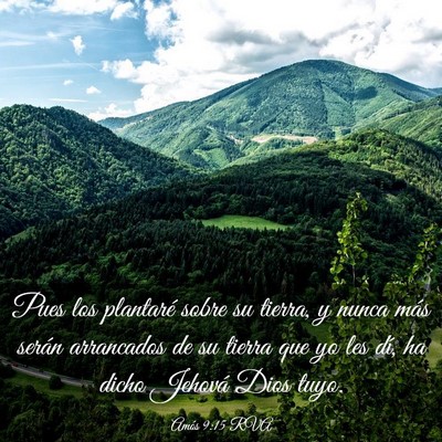 Picture 03 - Amós 9:15 RVA - Pues los plantaré sobre su tierra, y nunca más - Bible Verse Picture