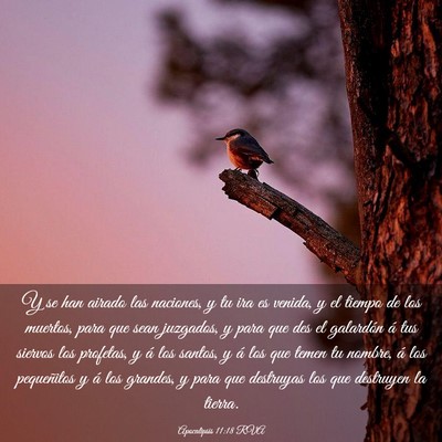 Picture 03 - Apocalipsis 11:18 RVA - Y se han airado las naciones, y tu ira es venida, - Bible Verse Picture