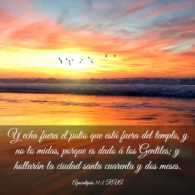 Picture 03 - Apocalipsis 11:2 RVA - Y echa fuera el patio que está fuera del templo, - Bible Verse Picture