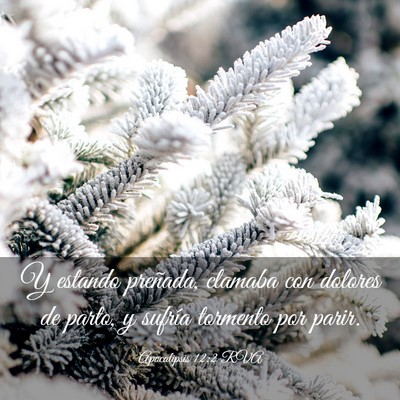 Picture 03 - Apocalipsis 12:2 RVA - Y estando preñada, clamaba con dolores de parto, - Bible Verse Picture