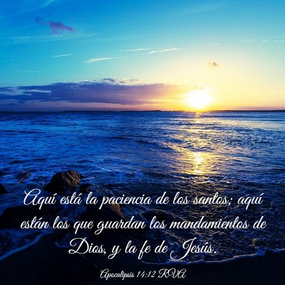 Picture 03 - Apocalipsis 14:12 RVA - Aquí está la paciencia de los santos; aquí - Bible Verse Picture