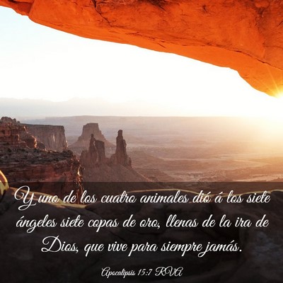 Picture 03 - Apocalipsis 15:7 RVA - Y uno de los cuatro animales dió á los siete - Bible Verse Picture