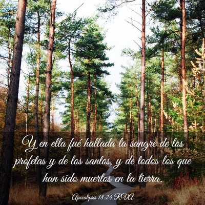 Picture 03 - Apocalipsis 18:24 RVA - Y en ella fué hallada la sangre de los profetas - Bible Verse Picture