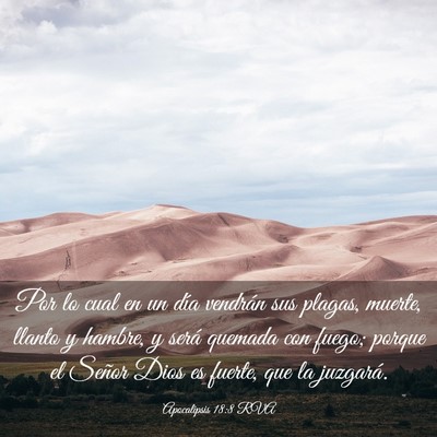 Picture 03 - Apocalipsis 18:8 RVA - Por lo cual en un día vendrán sus plagas, - Bible Verse Picture