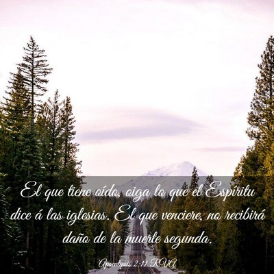 Picture 03 - Apocalipsis 2:11 RVA - El que tiene oído, oiga lo que el Espíritu dice - Bible Verse Picture