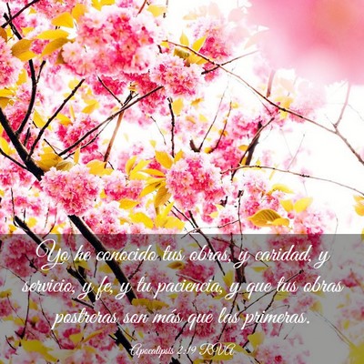 Picture 03 - Apocalipsis 2:19 RVA - Yo he conocido tus obras, y caridad, y servicio, - Bible Verse Picture