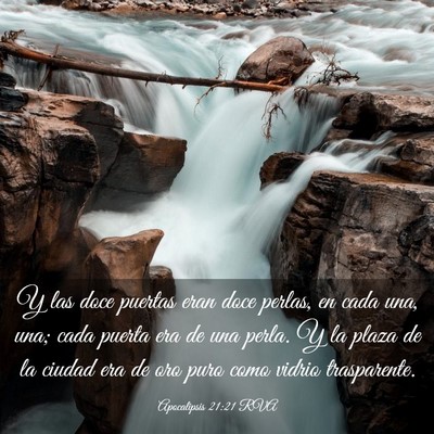 Picture 03 - Apocalipsis 21:21 RVA - Y las doce puertas eran doce perlas, en cada una, - Bible Verse Picture
