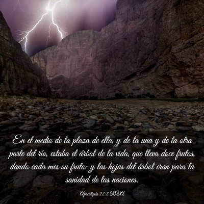 Picture 03 - Apocalipsis 22:2 RVA - En el medio de la plaza de ella, y de la una y de - Bible Verse Picture