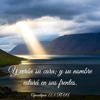 Picture 03 - Apocalipsis 22:4 RVA - Y verán su cara; y su nombre estará en sus - Bible Verse Picture