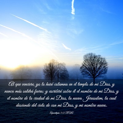 Picture 03 - Apocalipsis 3:12 RVA - Al que venciere, yo lo haré columna en el templo - Bible Verse Picture