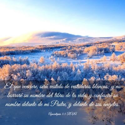 Picture 03 - Apocalipsis 3:5 RVA - El que venciere, será vestido de vestiduras - Bible Verse Picture