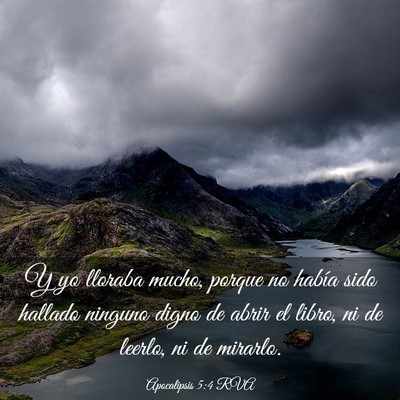 Picture 03 - Apocalipsis 5:4 RVA - Y yo lloraba mucho, porque no había sido hallado - Bible Verse Picture