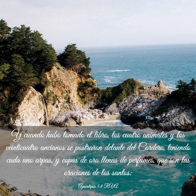 Picture 03 - Apocalipsis 5:8 RVA - Y cuando hubo tomado el libro, los cuatro - Bible Verse Picture