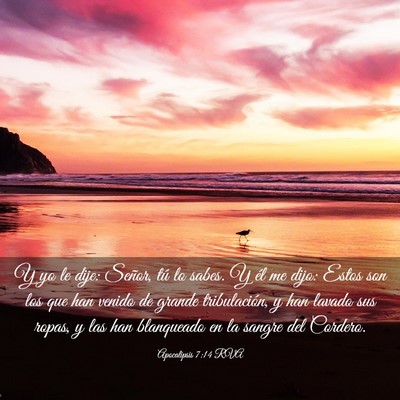 Picture 03 - Apocalipsis 7:14 RVA - Y yo le dije: Señor, tú lo sabes. Y él me - Bible Verse Picture