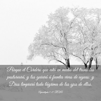 Picture 03 - Apocalipsis 7:17 RVA - Porque el Cordero que está en medio del trono - Bible Verse Picture