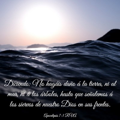 Picture 03 - Apocalipsis 7:3 RVA - Diciendo: No hagáis daño á la tierra, ni al - Bible Verse Picture