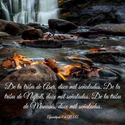 Picture 03 - Apocalipsis 7:6 RVA - De la tribu de Aser, doce mil señalados. De la - Bible Verse Picture