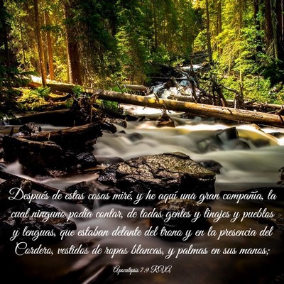 Picture 03 - Apocalipsis 7:9 RVA - Después de estas cosas miré, y he aquí una - Bible Verse Picture