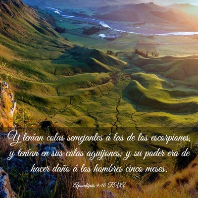 Picture 03 - Apocalipsis 9:10 RVA - Y tenían colas semejantes á las de los - Bible Verse Picture