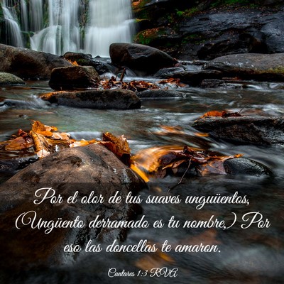 Picture 03 - Cantares 1:3 RVA - Por el olor de tus suaves unguüentos, (Ungüento - Bible Verse Picture