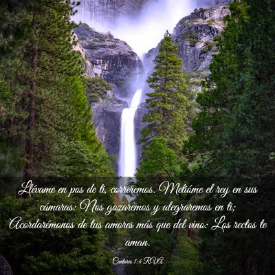 Picture 03 - Cantares 1:4 RVA - Llévame en pos de ti, correremos. Metióme el - Bible Verse Picture