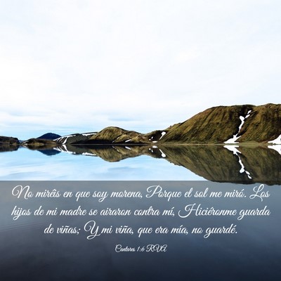 Picture 03 - Cantares 1:6 RVA - No miréis en que soy morena, Porque el sol me - Bible Verse Picture