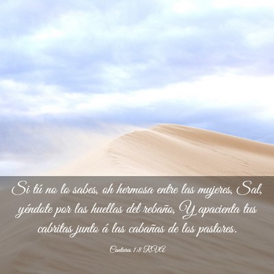 Picture 03 - Cantares 1:8 RVA - Si tú no lo sabes, oh hermosa entre las mujeres, - Bible Verse Picture