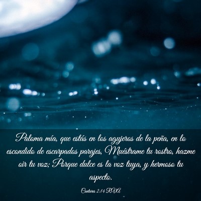 Picture 03 - Cantares 2:14 RVA - Paloma mía, que estás en los agujeros de la - Bible Verse Picture