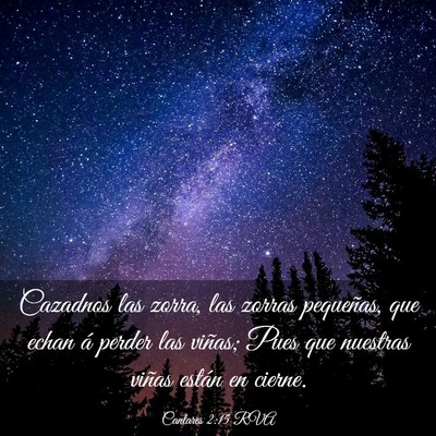 Picture 03 - Cantares 2:15 RVA - Cazadnos las zorra, las zorras pequeñas, que - Bible Verse Picture