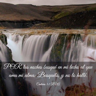 Picture 03 - Cantares 3:1 RVA - POR las noches busqué en mi lecho al que ama mi - Bible Verse Picture